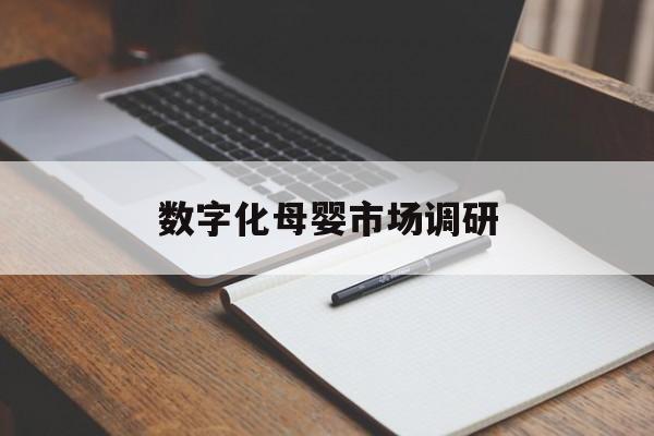 达州市数字化母婴市场调研(数字化母婴市场调研报告)